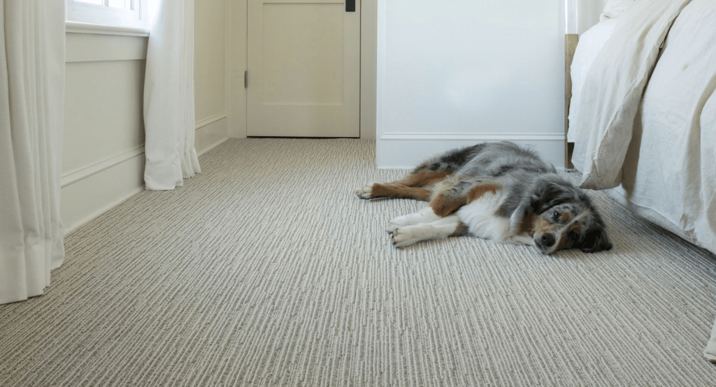 Anderson Tuftex Carpet For Pets - Riviera Floor Covering Laughlin