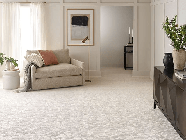 Anderston TufTex Carpet For Pets